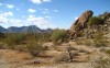 sonora