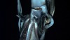 16_squid
