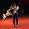 cirk2