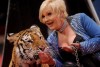 02_tigr