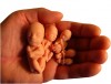 09_abort
