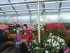 20_flower
