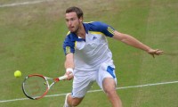 15_gulbis