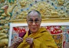 03_lama