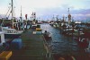 03_sanitz1
