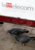 04_lattelekom