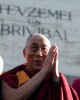 03_lama