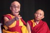 05_lama_1