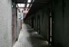 11_central_leta2