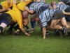 19_rugby