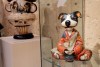11_porcelanamuzejs