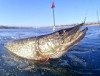 13_letnyaya-rybalka