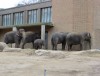 20_zoo_3
