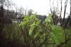 12_listja