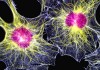 07_cells