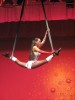 cirk