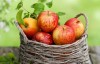 11_apple