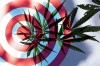 cannabis