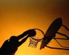 basket