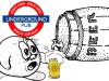 beer